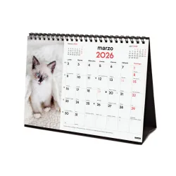 CALENDARIO SOBREMESA ESCRIBIR 2026 GATITOS FINOCAM 780323826