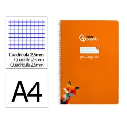 CUADERNO A4 PAUTAGUIA 2,5MM TAPA DURA NARANJA LIDERPAPEL 171785