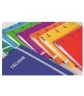 Carpeta fº 4 anillas + recambio 5x5 colores exclusive pacsa 25007 - 25007