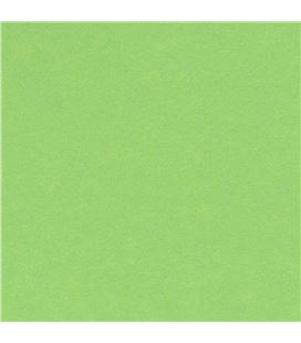 Cartulina 50x65cms 25h 185grs verde manzana guarro c200040237