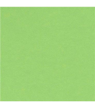 Cartulina 50x65cms 25h 185grs verde manzana guarro c200040237 - 200040237