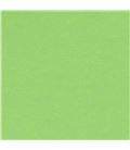 Cartulina 50x65cms 25h 185grs verde manzana guarro c200040237