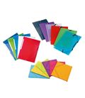 Carpetas de Gomas y Solapas de PVC o PP