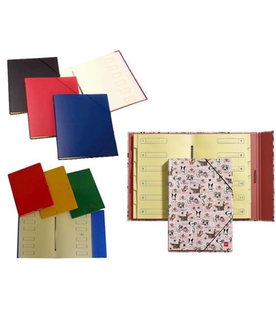 Carpetas Clasificadoras de Cartón
